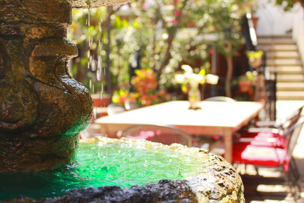 Las Mariposas Hotel & Studios Oaxaca Экстерьер фото